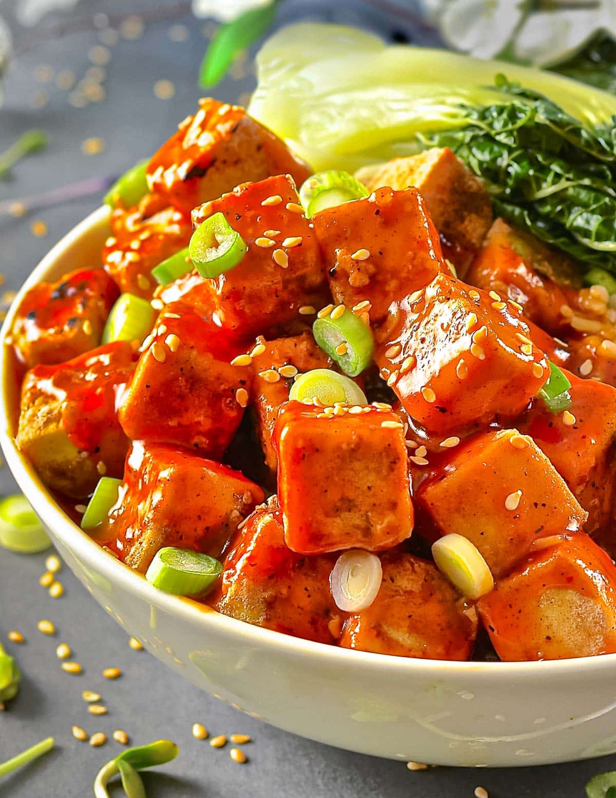 Chinese vegetable/Fish/Julien Salad/Grilled tomato